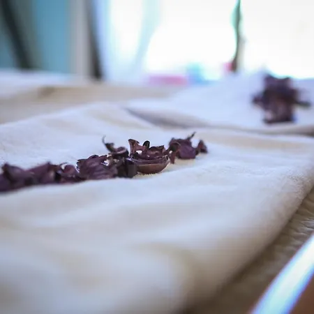 Alexandra Вилла