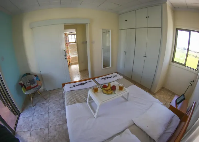 Alexandra Willa Ajia Napa